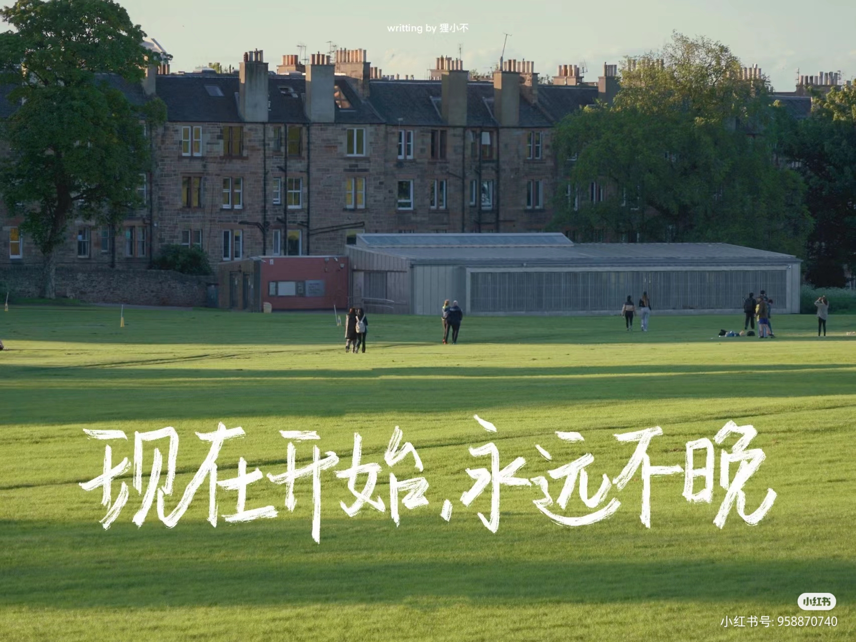 Selenium安装WebDriver：最新ChromeDriver谷歌驱动及闪退等常见问题（114及其以后的版本）